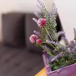 Shabby Chic Disente Nr1 Close To Krk Centre Апартаменты